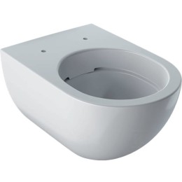 Acanto hangtoiletpot met keramische toiletpot, gesloten vorm, randvrij 500.600.01.2